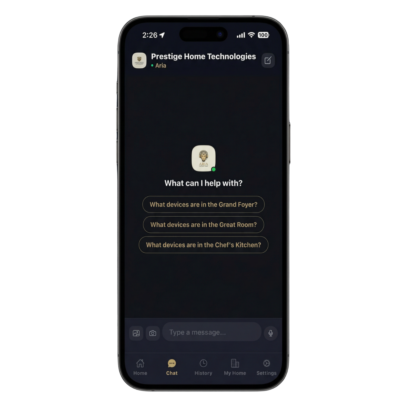 Chat welcome screen with AI assistant and suggestion chips
